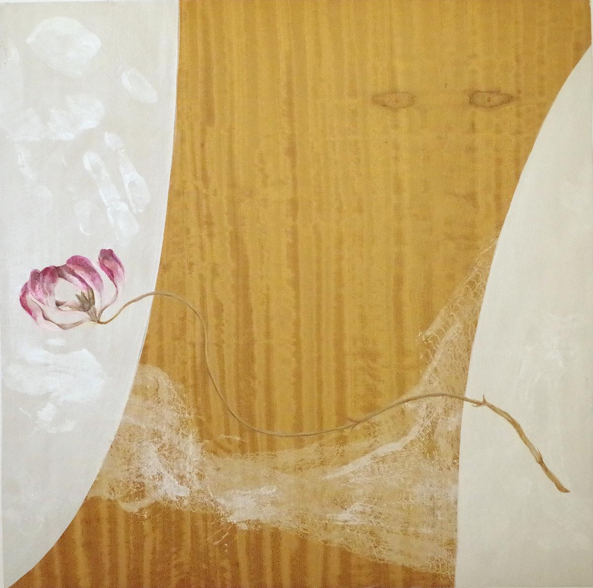 Satinwood