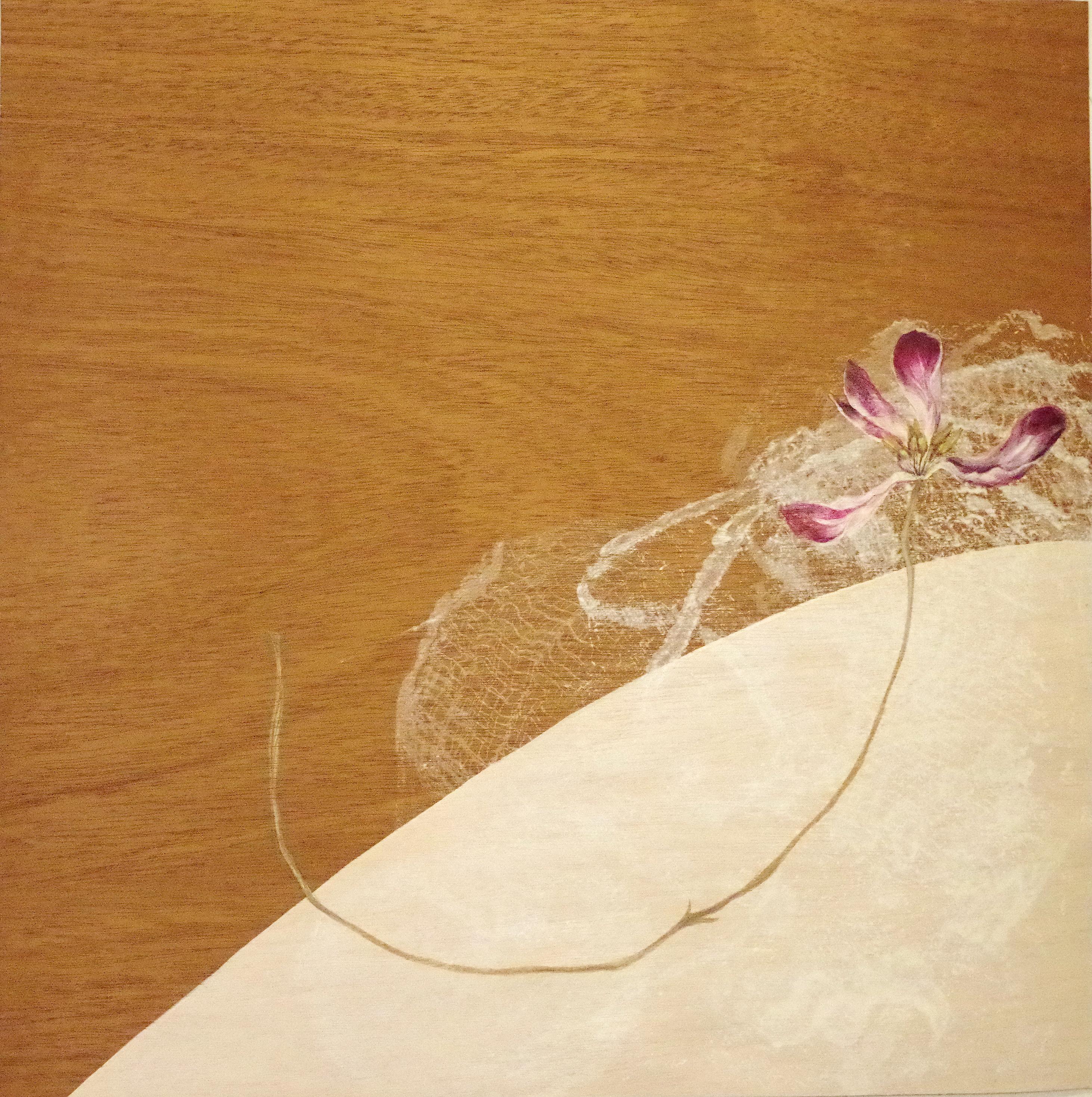 Latcut Mahogany