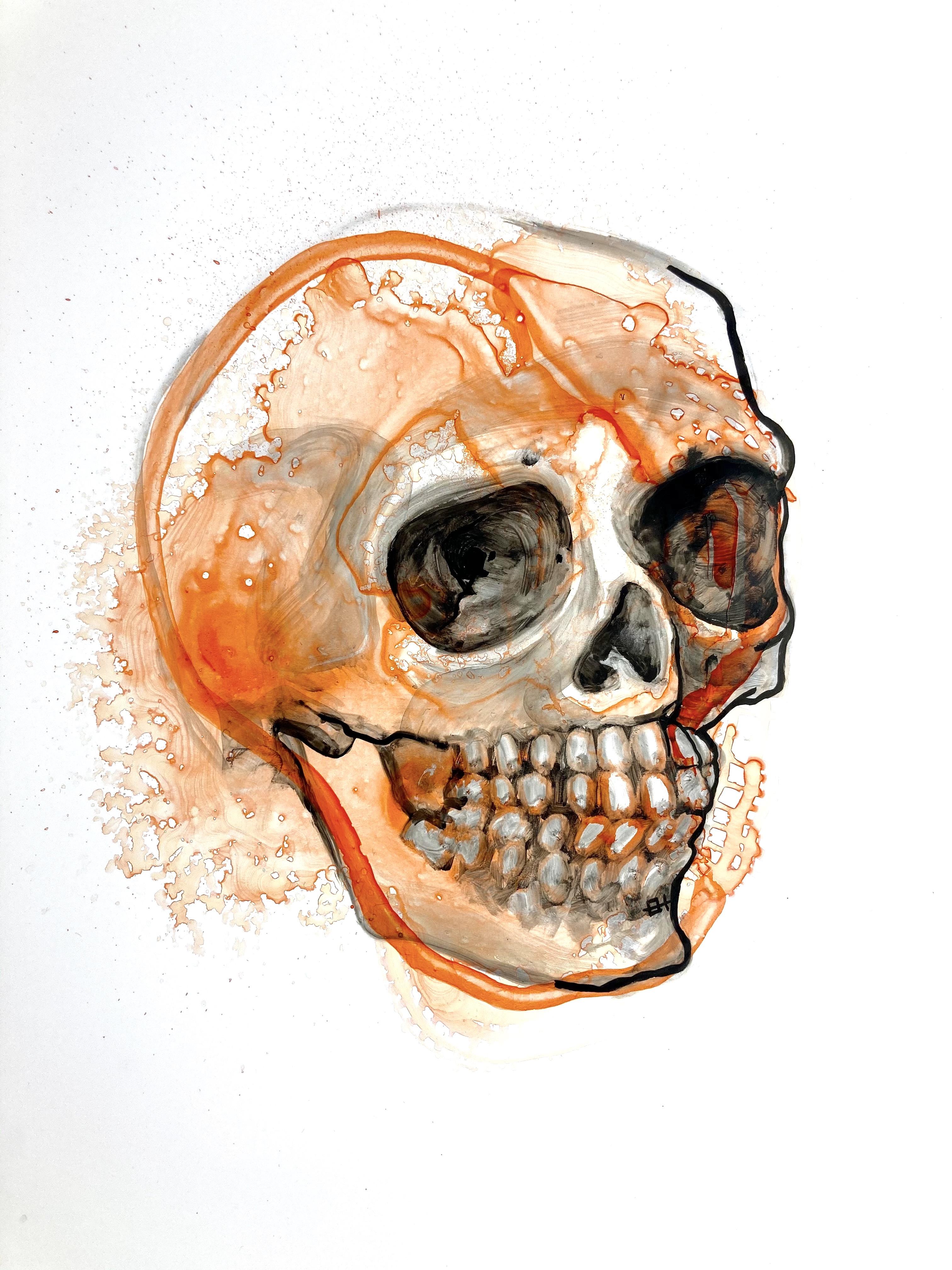 People - Infant skull