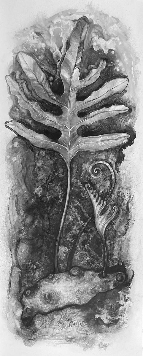 Blue Rabbit Foot Fern