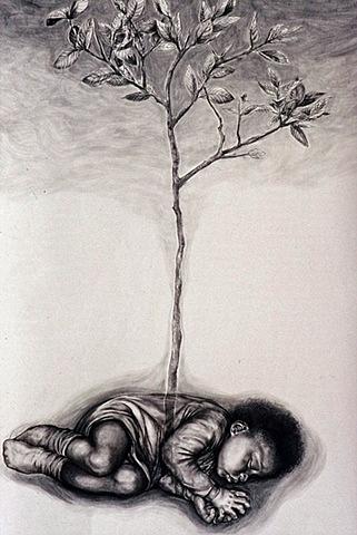 Lorha under Dais Cotinifolia
