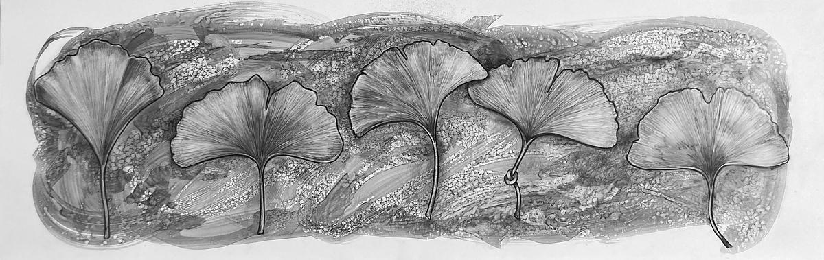 Ginkgo 5