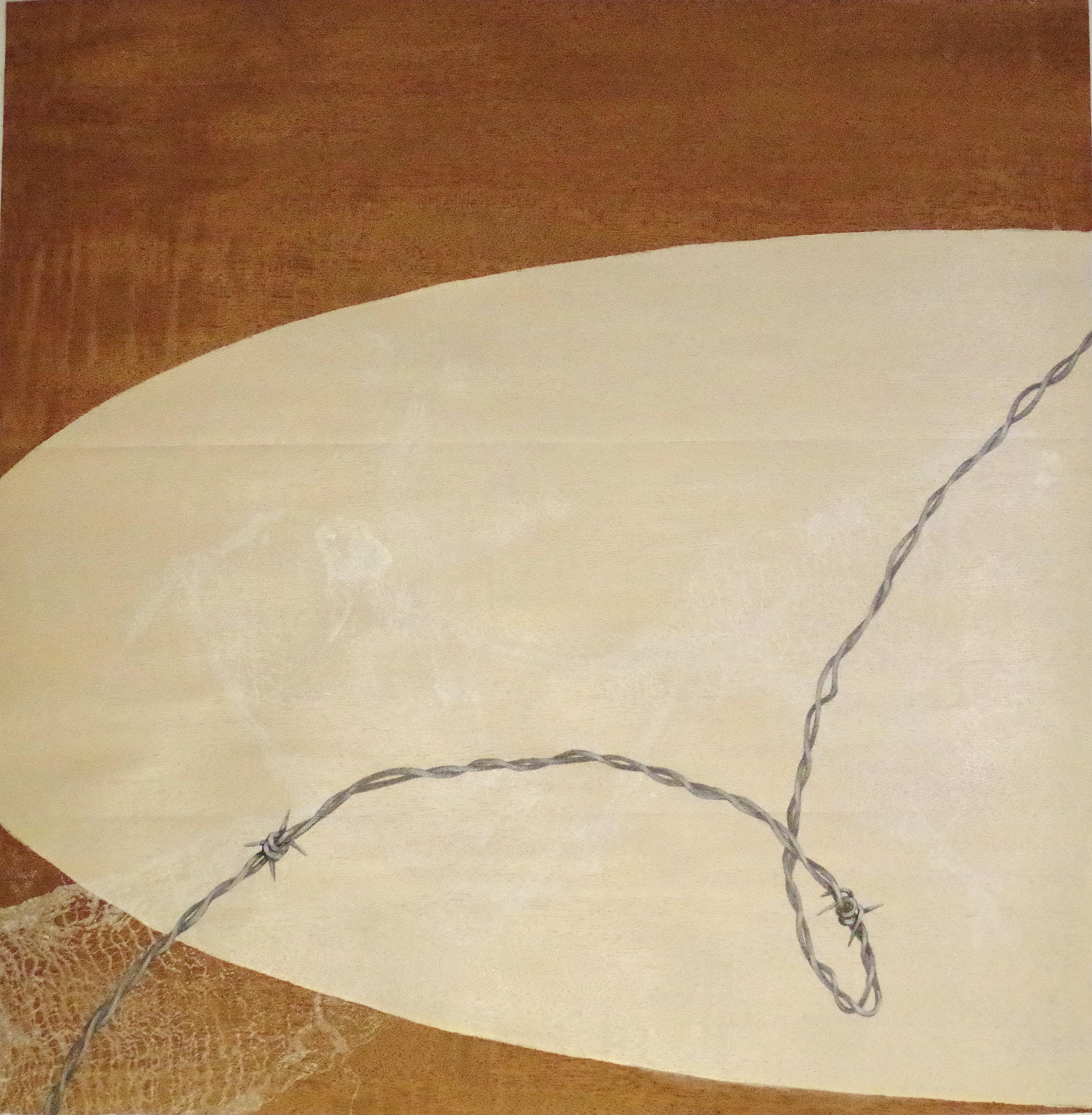African Ribbon Mahogany
