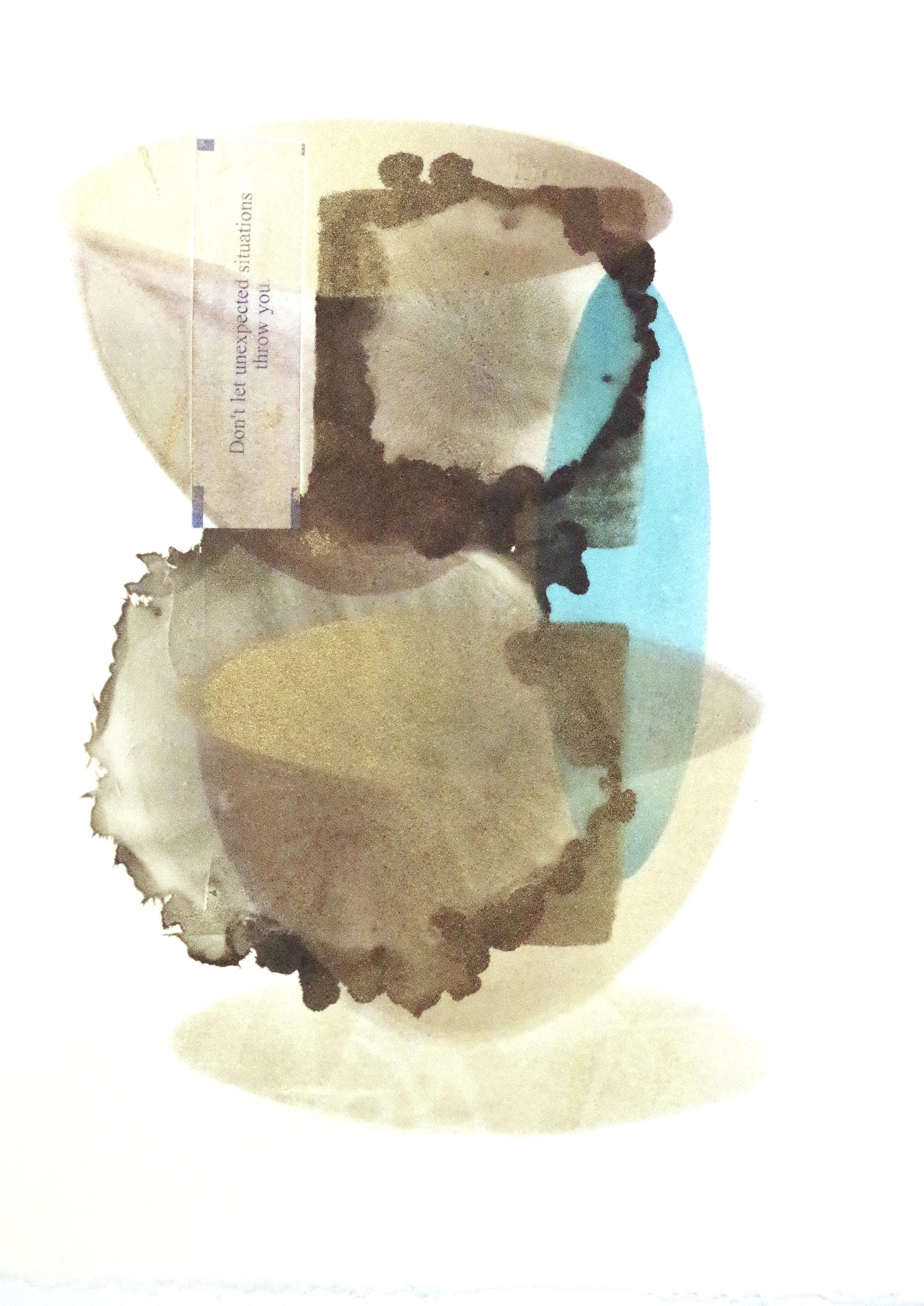 Fortune 15