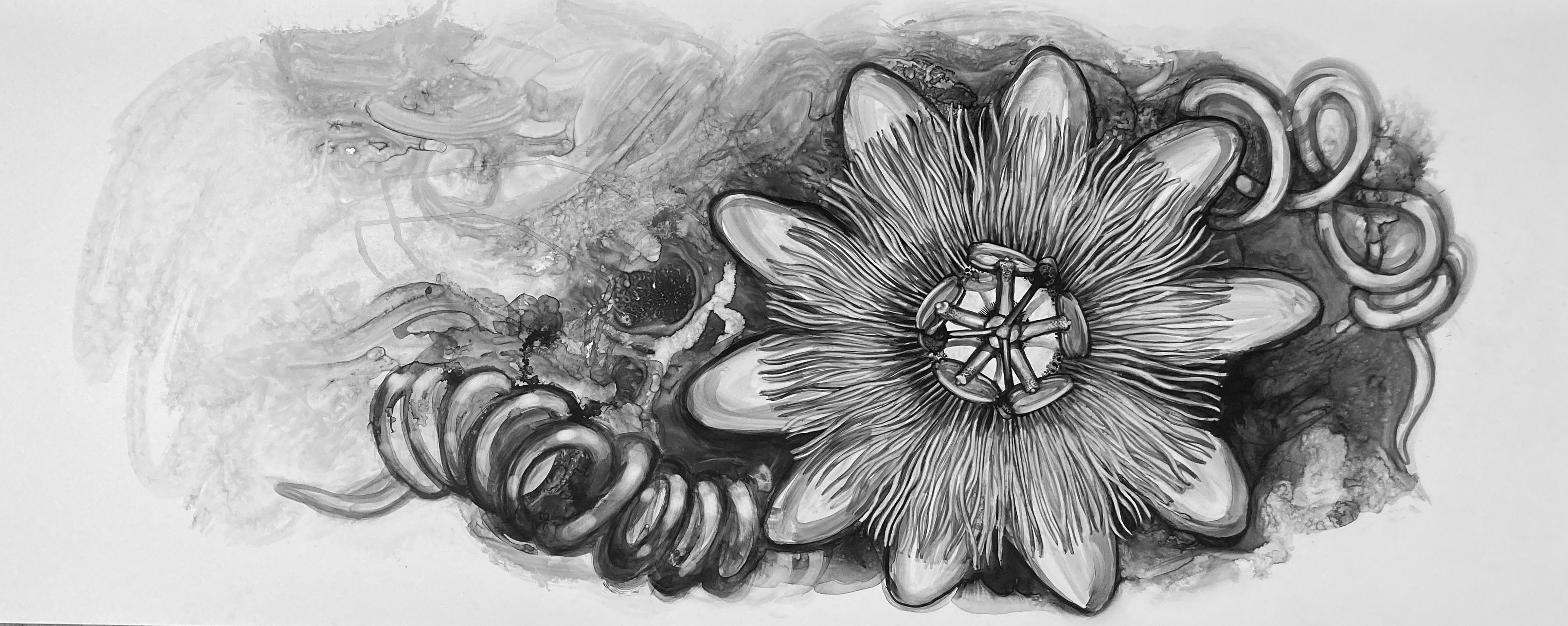 Passionfruit